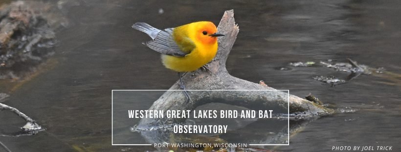 Western Great Lakes Bird & Bat Observatory